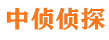 盘龙市侦探公司